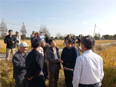 發(fā)揮學(xué)科優(yōu)勢(shì)，助力崇明建設(shè)——化分學(xué)院分析-物化聯(lián)合黨支部“主題黨日”活動(dòng)聚焦海水養(yǎng)殖技術(shù)研發(fā)